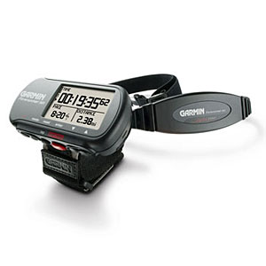 garmin 301